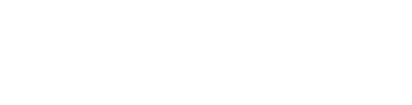 FINVAX Logo White